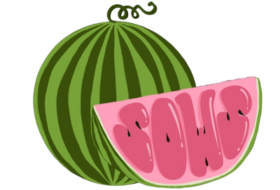 Seeds of a Watermelon: Gazan Student Scholarship Fund